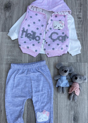 Комплект (жилет + кофточка + штанці) Fery Baby Hello Cat 68 см Рожевий/Білий/Сірий