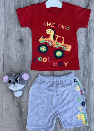 Комплект дитячий (футболка + шорти) Linora Cool Boy 74 см Червоний/Сірий