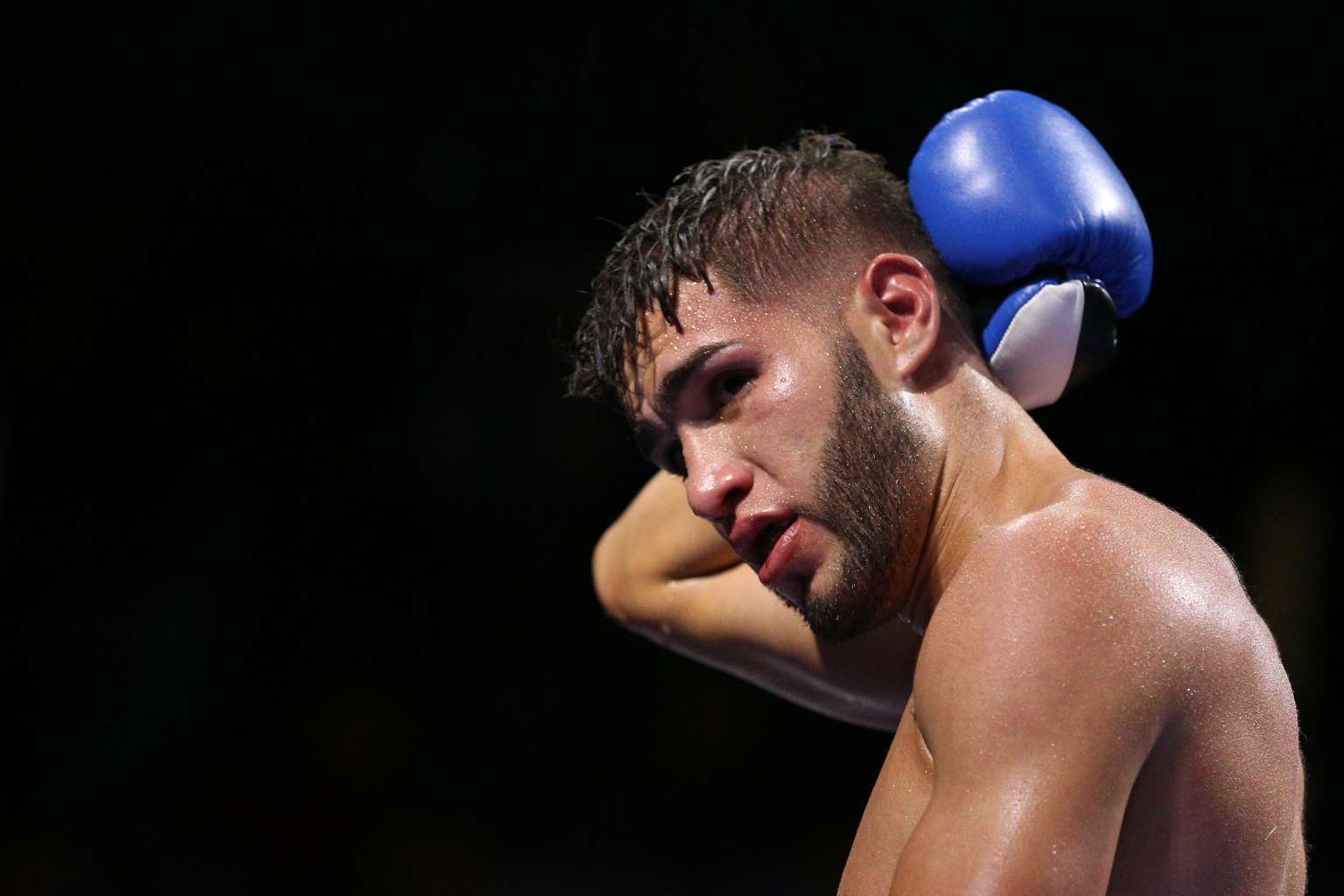 pzboxing19